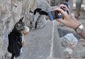 07 d_DSC_0056